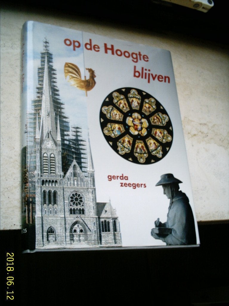 H. Bonaventurakerk in Woerden.Gerda Zeegers., Ophalen of Verzenden, Zo goed als nieuw