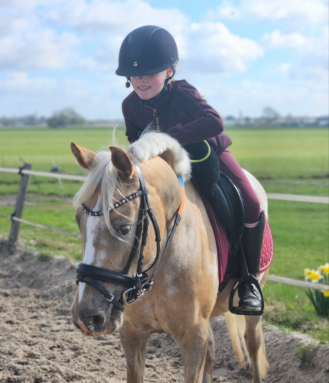 Gave, knappe en goed bewegende grote C pony!, Dieren en Toebehoren, Pony's, Merrie, Met stamboom, Dressuurpony, M