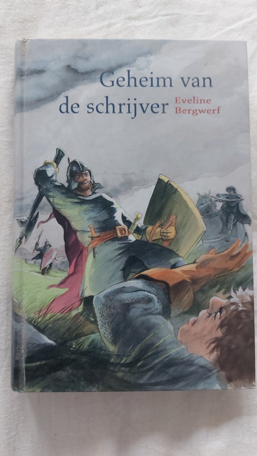 Geheim van de schrijver - E. Bergwerf (vanaf 12 jaar), Ophalen of Verzenden