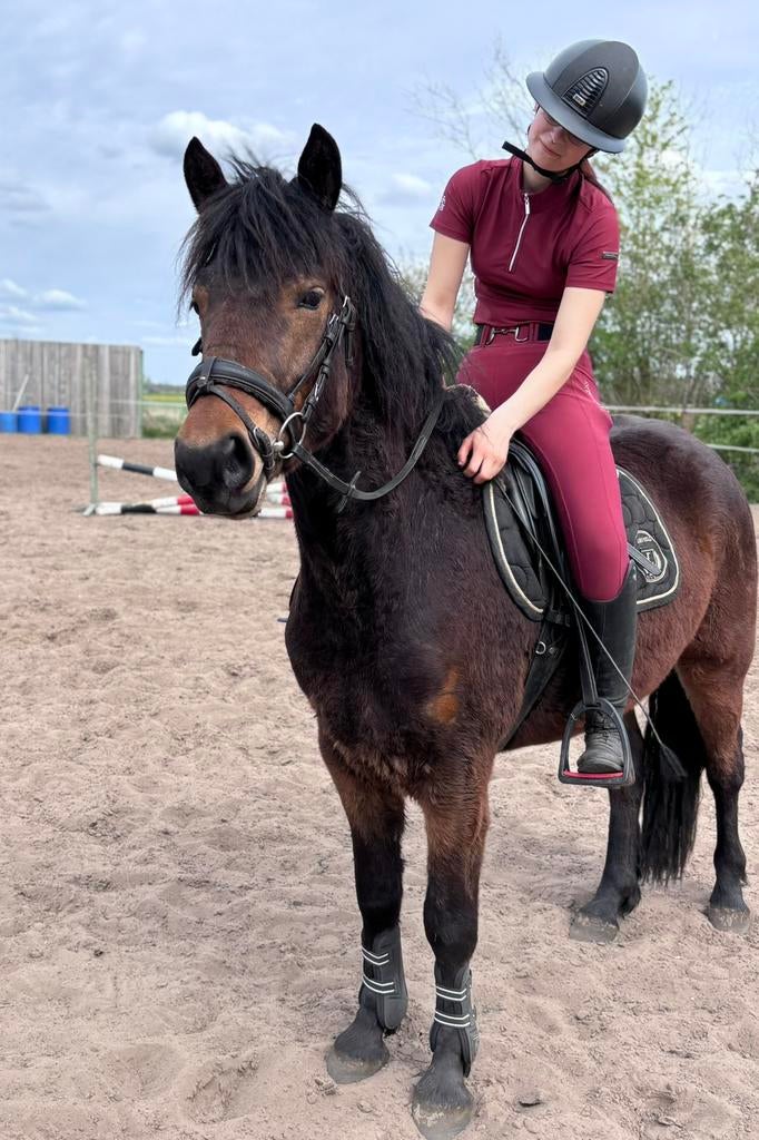 Fijne recreatiepony (5 jr, 150 cm) – houdt van buitenrijden!, E pony (1.48m - 1.57m), Ruin, 3 tot 6 jaar, Recreatiepony