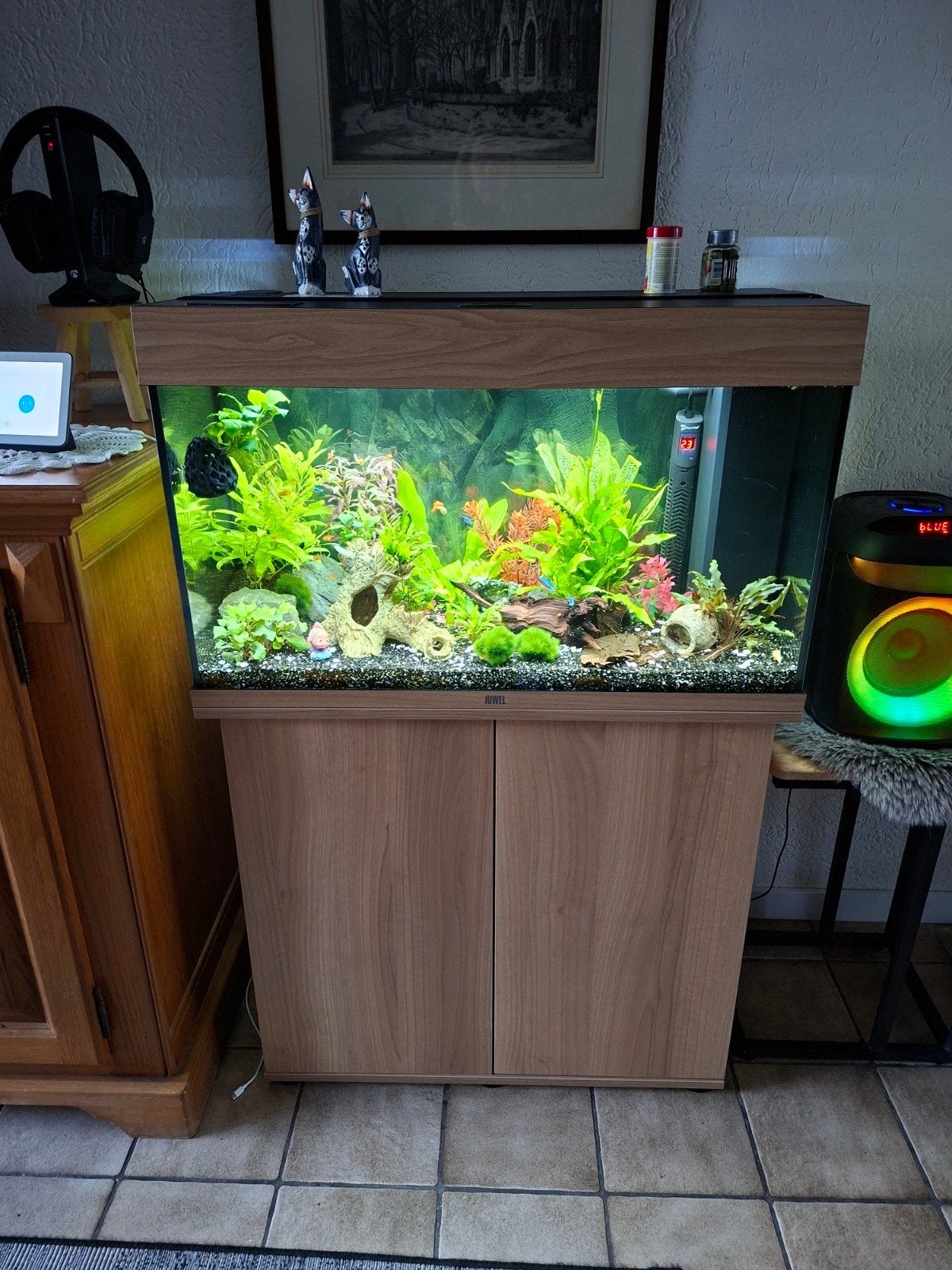 aquarium juwel  rio 125, Ophalen, Zo goed als nieuw, Gevuld zoetwateraquarium