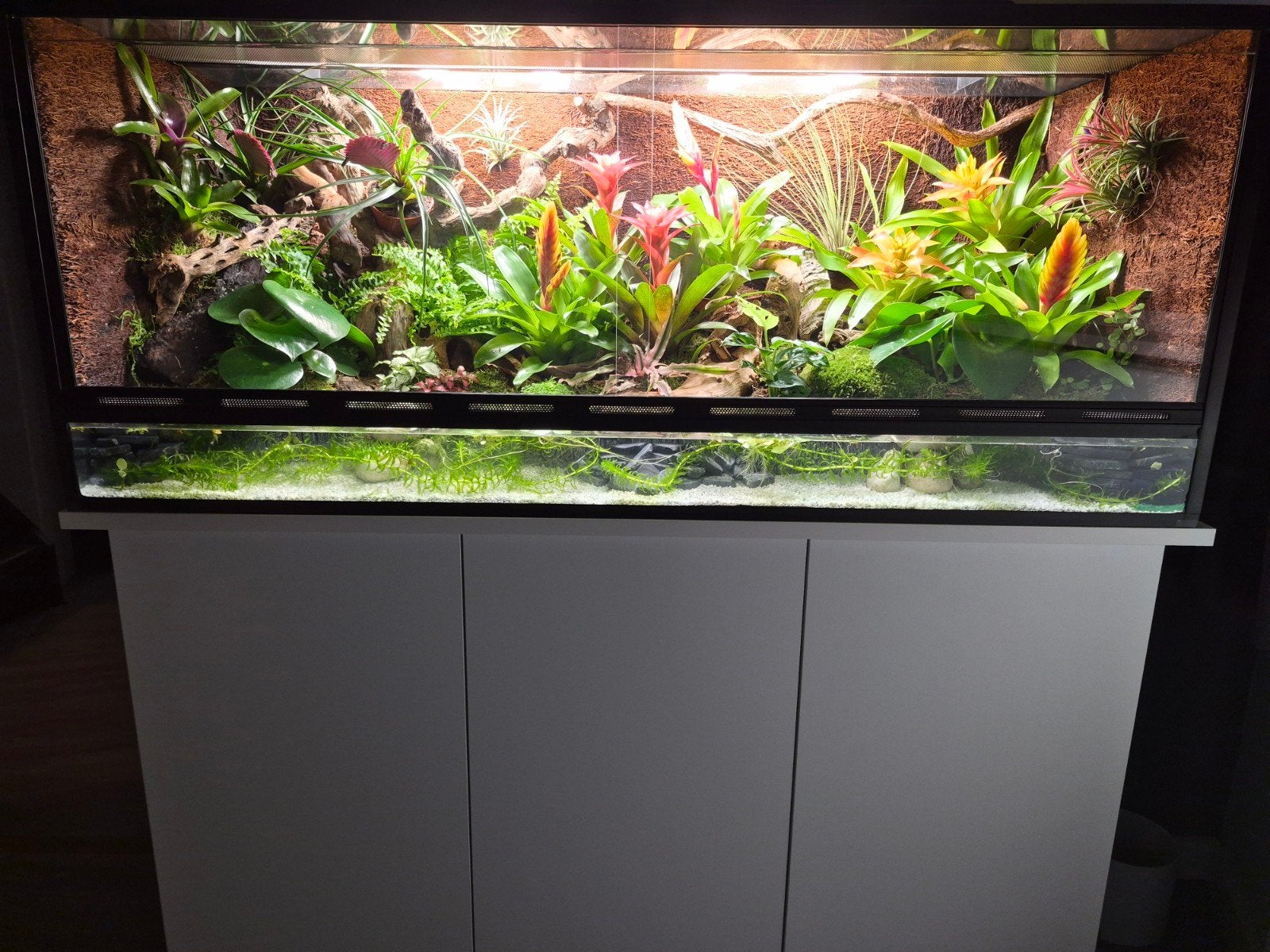 paludarium Terrarium, Dieren en Toebehoren, Ophalen, Zo goed als nieuw, Terrarium of Paludarium