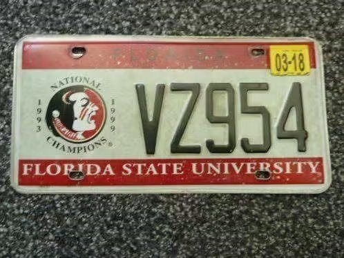 Kentekenplaat licenseplate Florida State Uni Seminoles USA, Verzenden, Gebruikt, Auto's