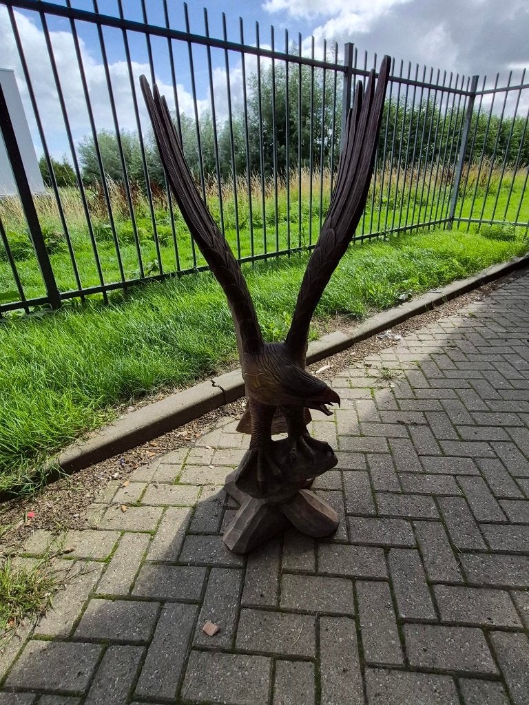 Mooi gekleurde houten adelaar, geen beschadigingen, Ophalen, 50 - 100 cm, Beeld, Hout