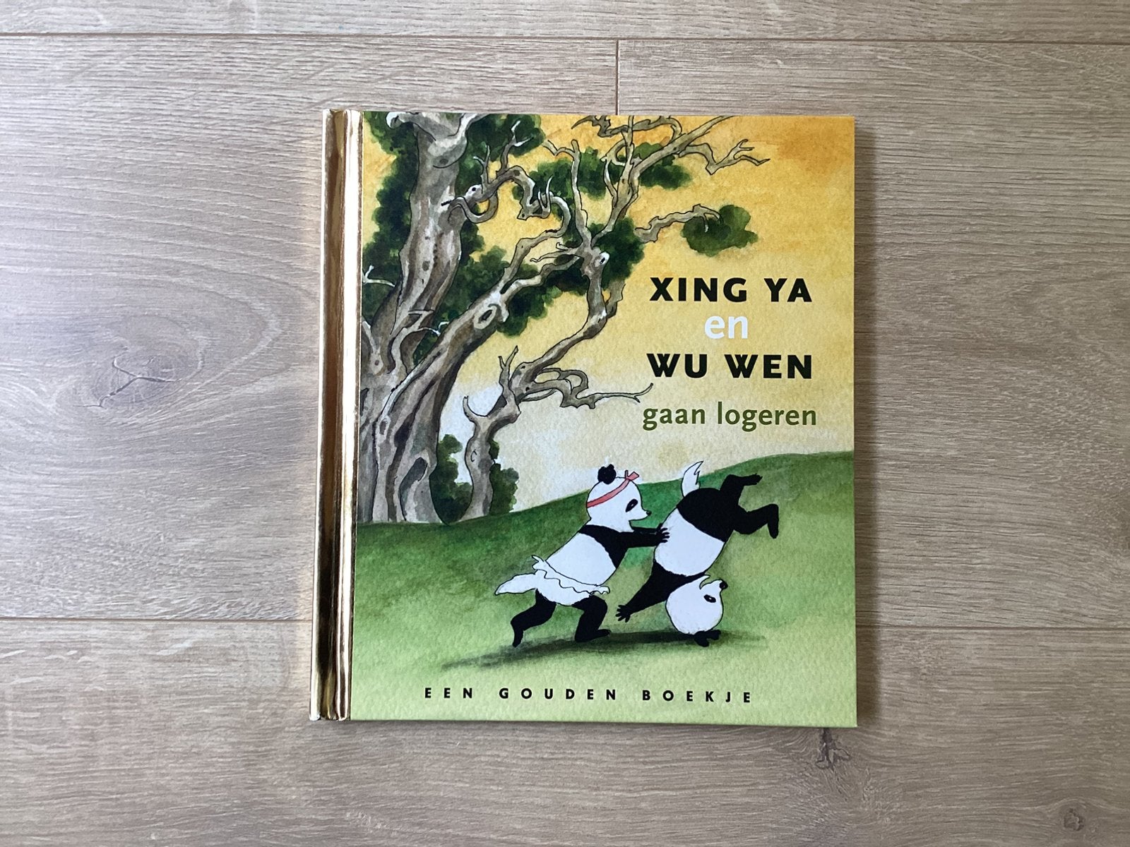 Gouden boekje Xing Ya en Wu Wen gaan logeren, Ophalen of Verzenden, Zo goed als nieuw, Fictie algemeen, Gouden boekje