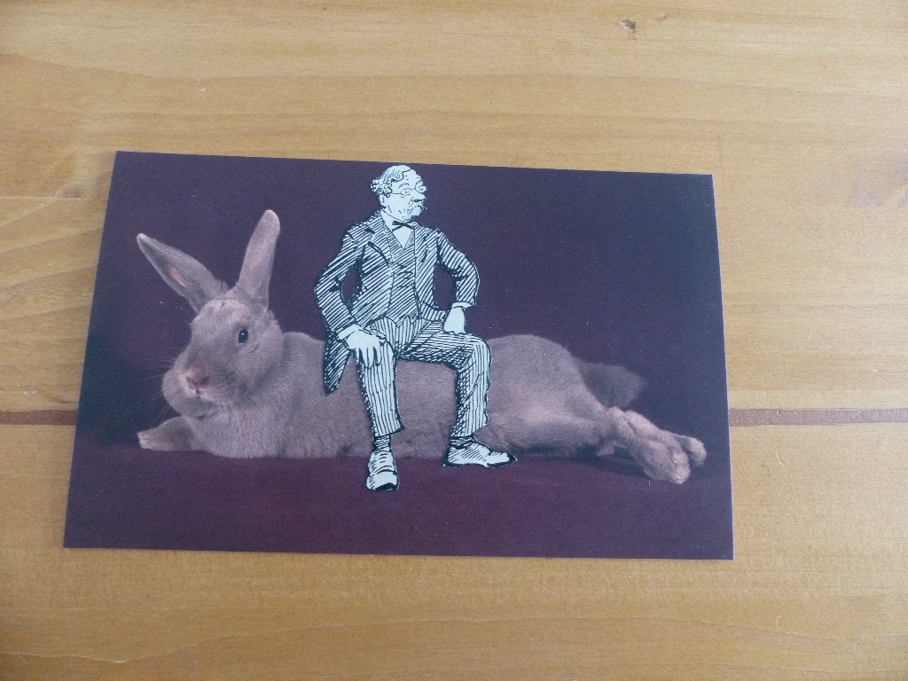 Ansichtkaarten speciaal 'konijn' *, Verzamelen, Ansichtkaarten | Dieren, Verzenden, 1980 tot heden, Ongelopen, Knaagdier