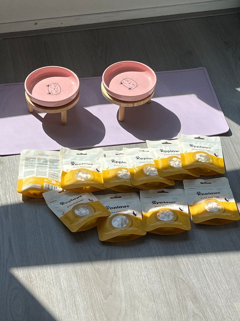 Kat startpakket + PetKit waterfontein (t.w.v. €80) - €200, Dieren en Toebehoren, Ophalen, Zo goed als nieuw