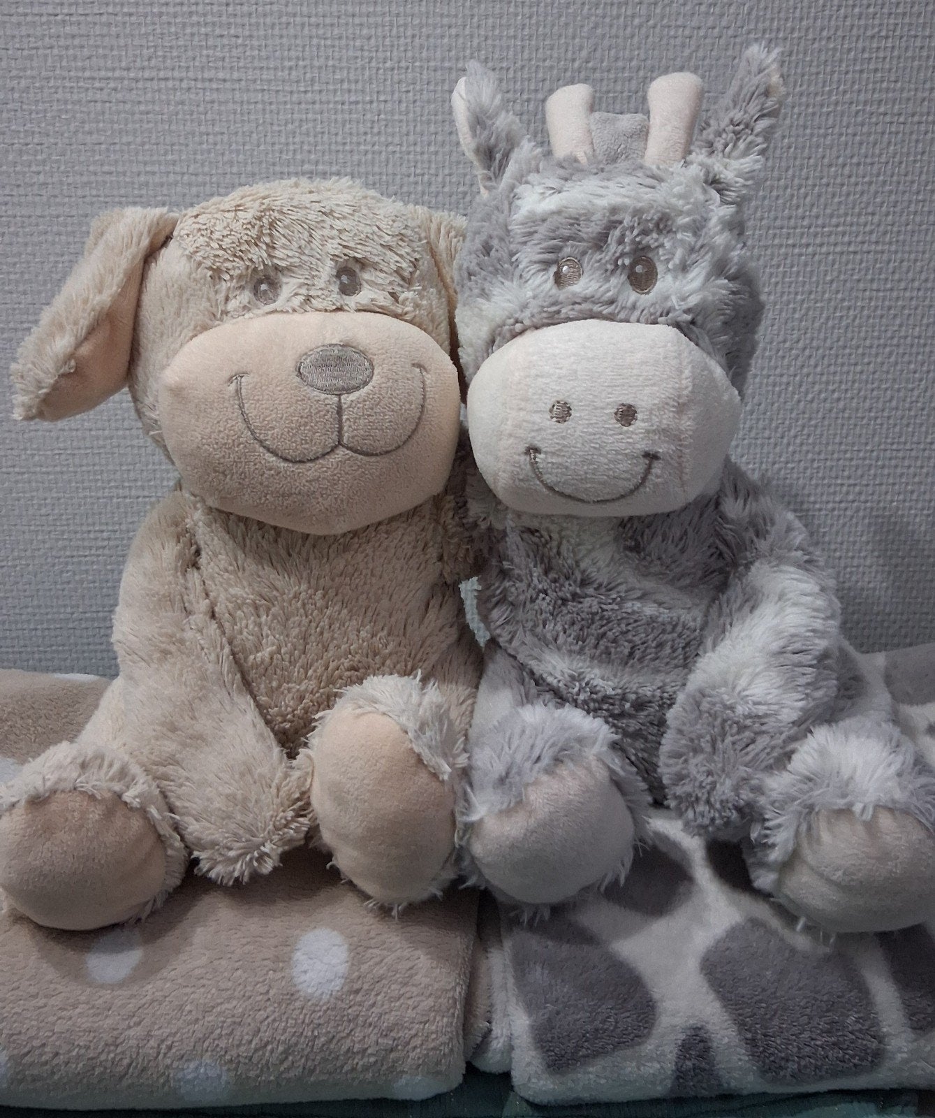 Leuke knuffel met bijpassend dekentje, Ophalen of Verzenden, Zo goed als nieuw, Overige typen