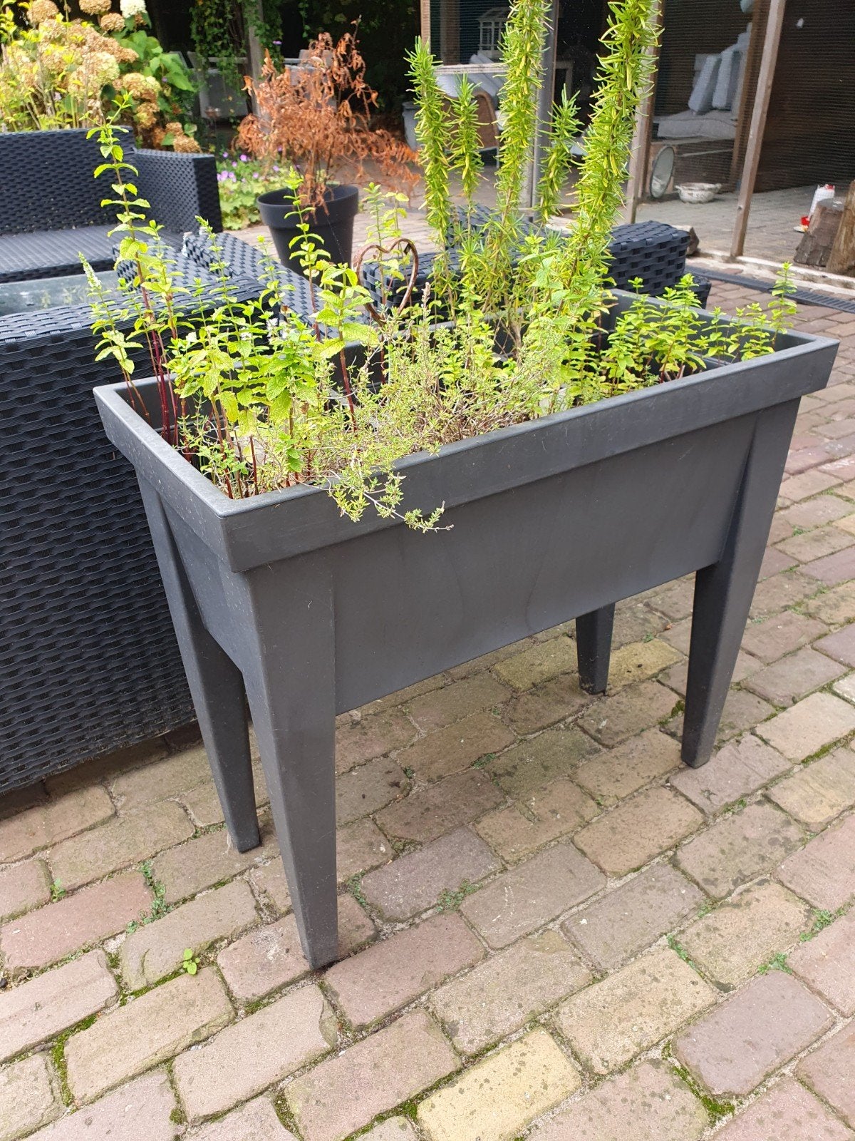 Elho kweekbak plantenbak op poten - Grijs, Ophalen, Kunststof, Gebruikt, 60 tot 100 cm