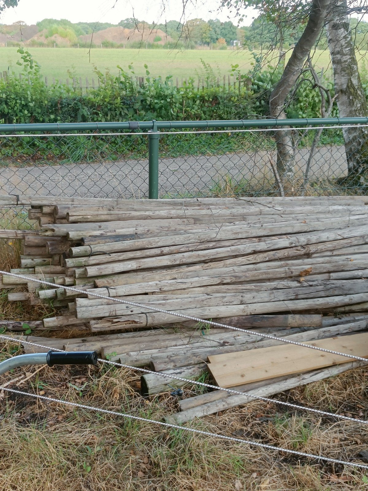 Boompalen, fruitboompalen, weidepalen, Ophalen, Gebruikt, Palen, Hardhout