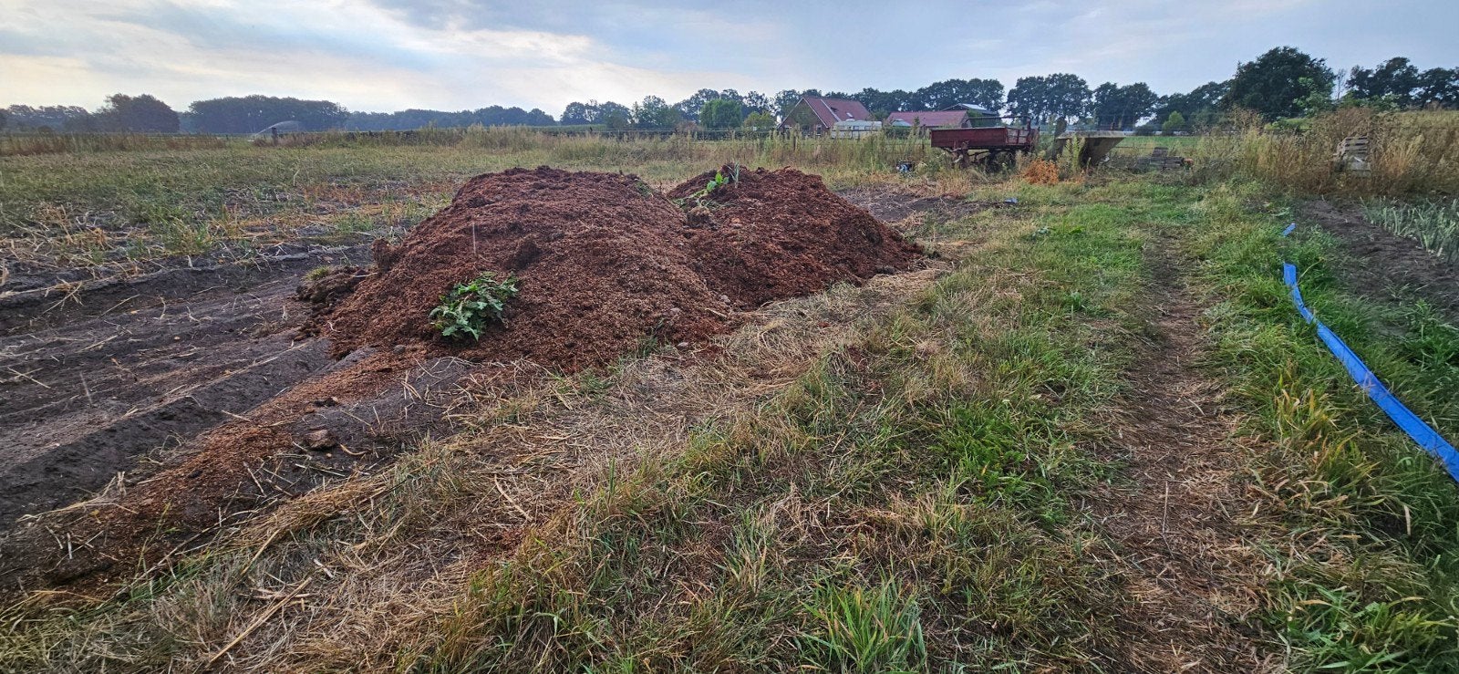 vaste mest gezocht, Tuin en Terras, Aarde en Mest, Ophalen of Verzenden