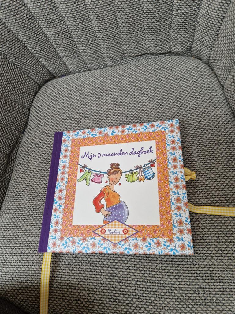 Pauline Oud - Mijn 9 maanden dagboek, Ophalen of Verzenden, Nieuw, Pauline Oud