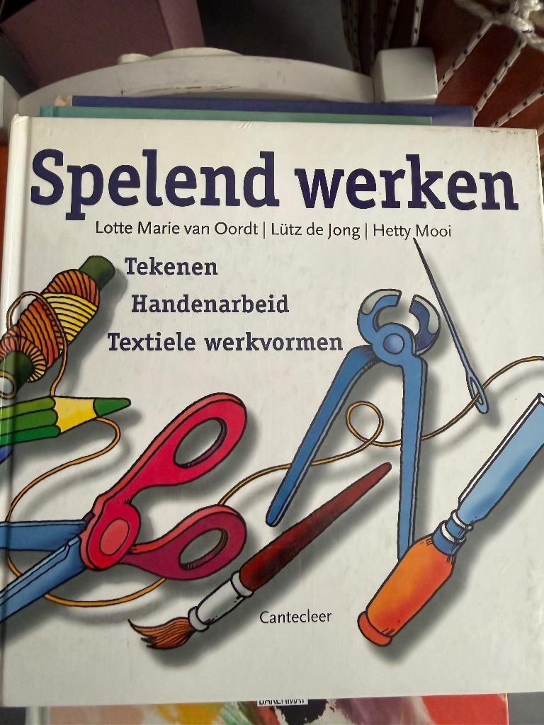 Spelend werken Lotte van Oordt, Ophalen of Verzenden, Zo goed als nieuw, Overige onderwerpen