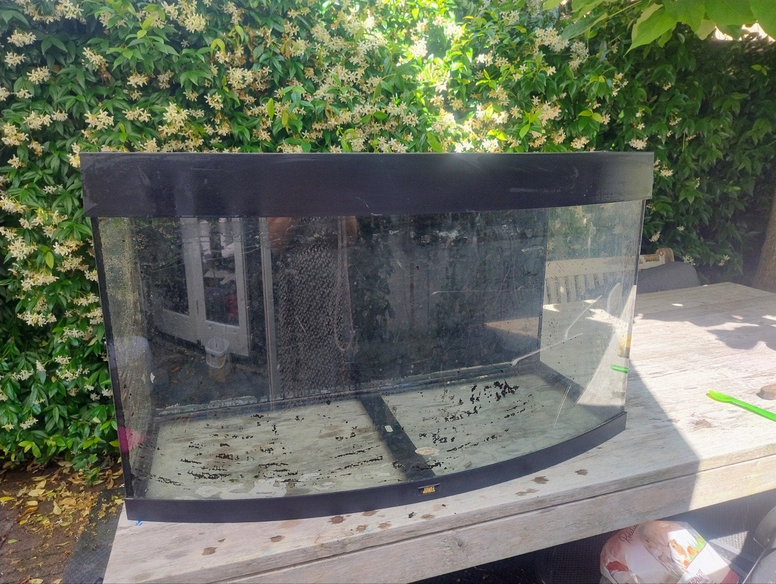 Aquarium 180 liter Juwel Vision, Vis