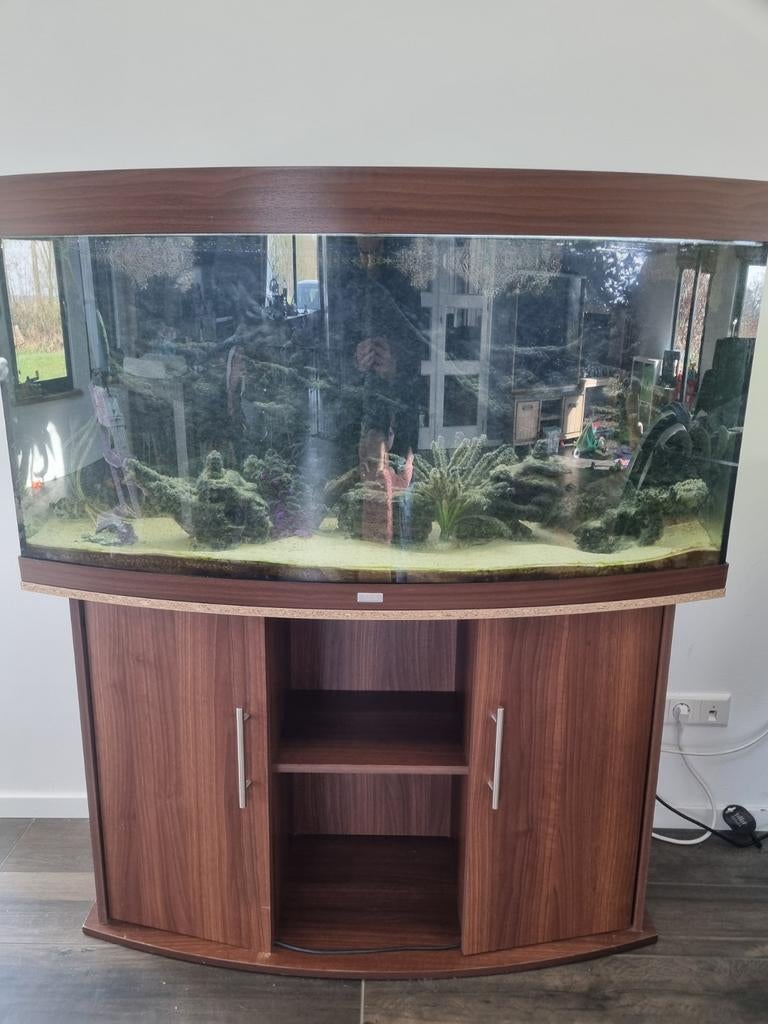 Aquarium Juwel Vision 260, Dieren en Toebehoren, Vissen | Aquaria en Toebehoren, Ophalen