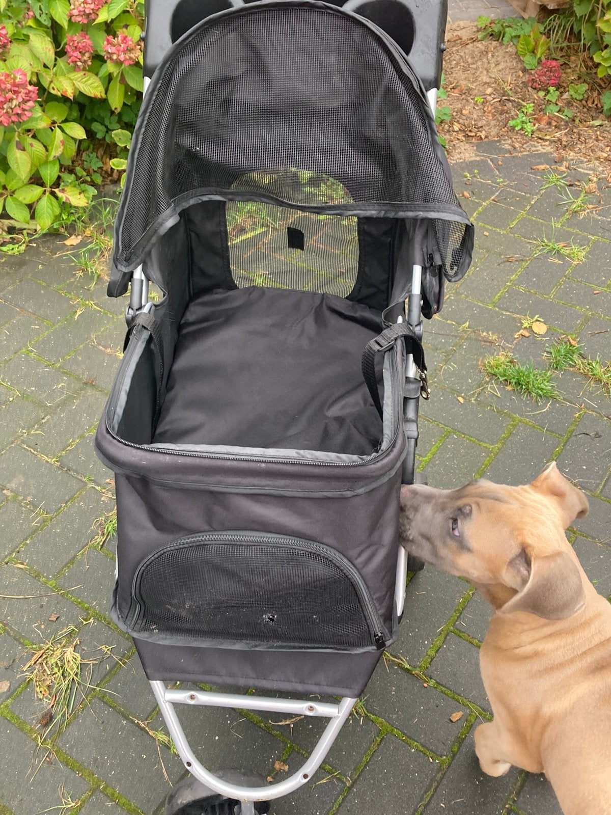 Honden karretje, Ophalen, Gebruikt