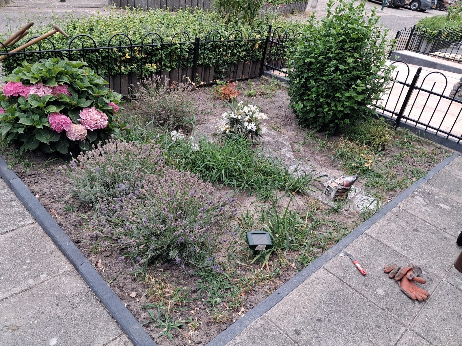 Tuinman voor tuinonderhoud, Ophalen of Verzenden
