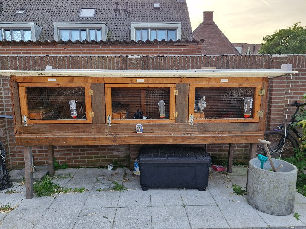 Grote konijnen kooi met konijnen, Dieren en Toebehoren, Meerdere dieren, Middelgroot
