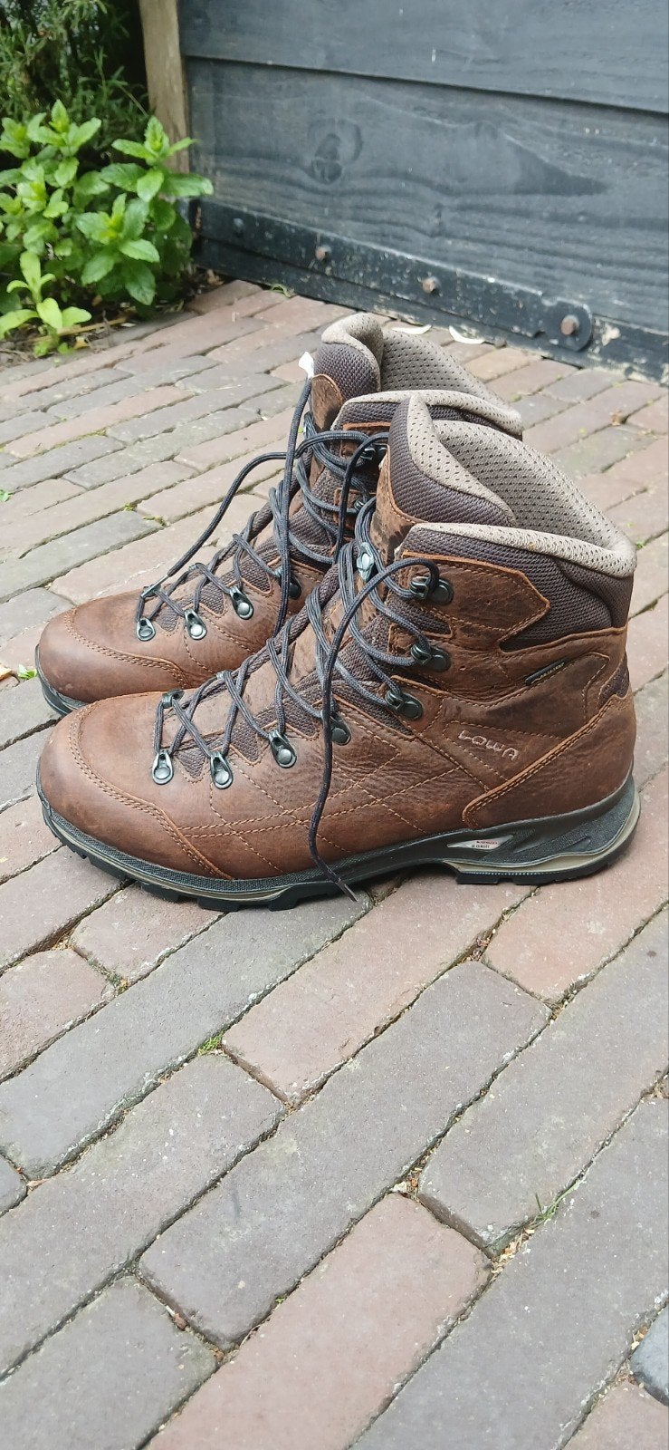 Lowa Hampton gtx mid zgan 43.5, Ophalen of Verzenden, Zo goed als nieuw, Schoenen
