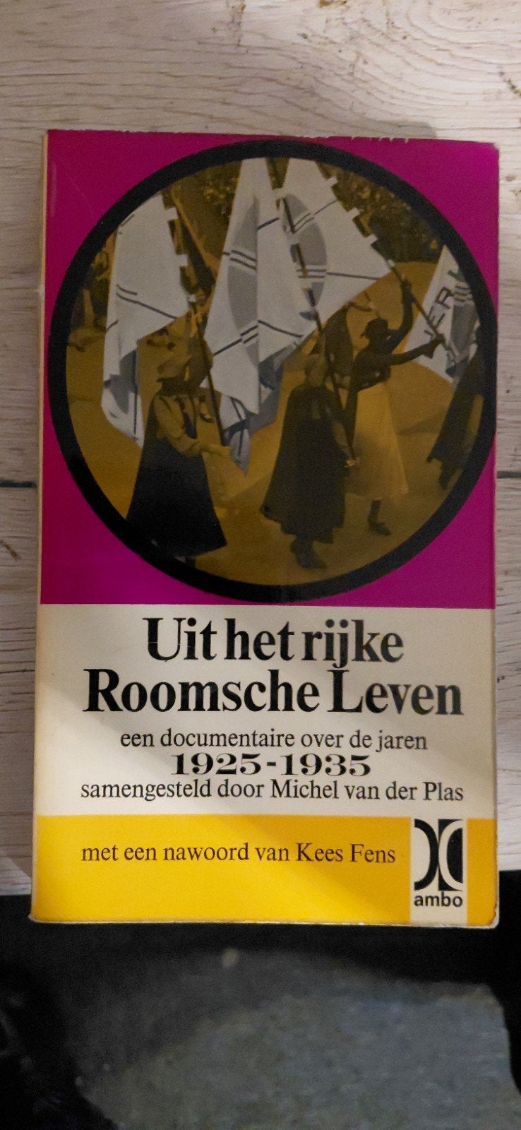 Uit het rijke Roomsche Leven - Michel van der Plas, Ophalen of Verzenden, Gelezen, Michel van der plas, Christendom | Katholiek