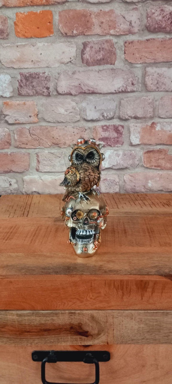 Steampunk:Skull met een Uil Beeld♥️SALE VERKOOP♥️, Ophalen of Verzenden, Nieuw, Dier