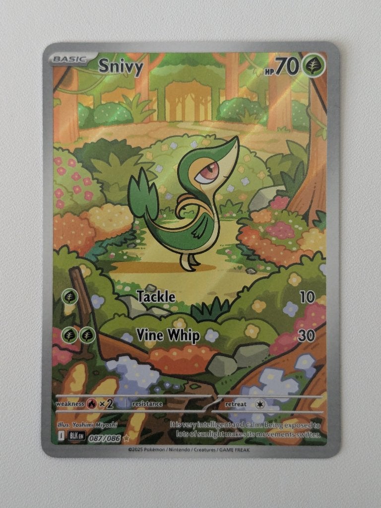 Pokémon kaart (Full Art) - Snivy [Engels], Ophalen of Verzenden, Zo goed als nieuw, Losse kaart, Foil