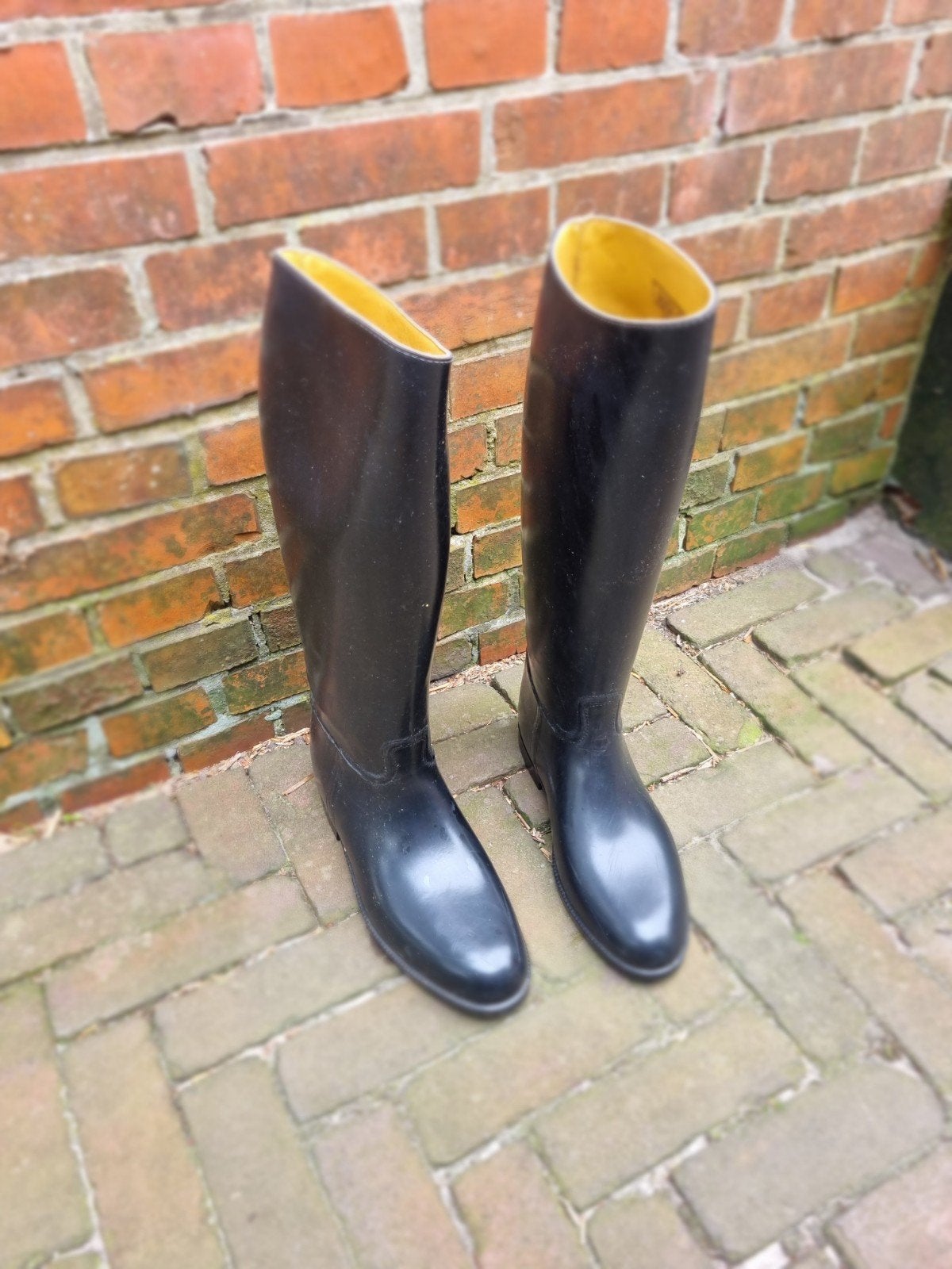 Rubberen paardrijlaarzen heren van Aigle maat 44.5/45, Ophalen