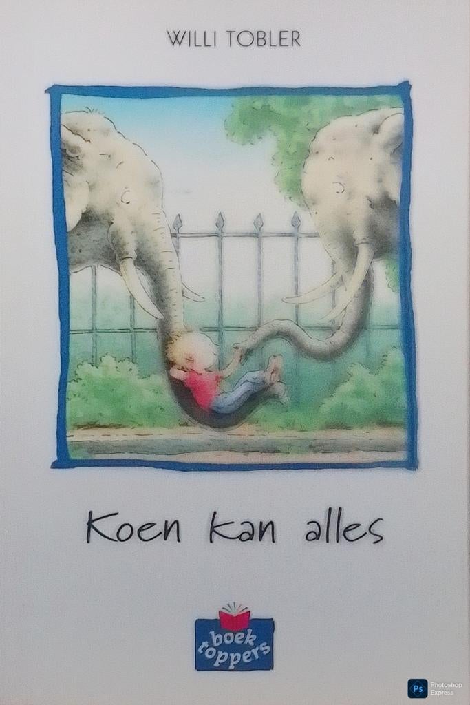 Koen Kan Alles, Boeken, Gelezen, Fictie algemeen, Ophalen of Verzenden, Willi Tobler.