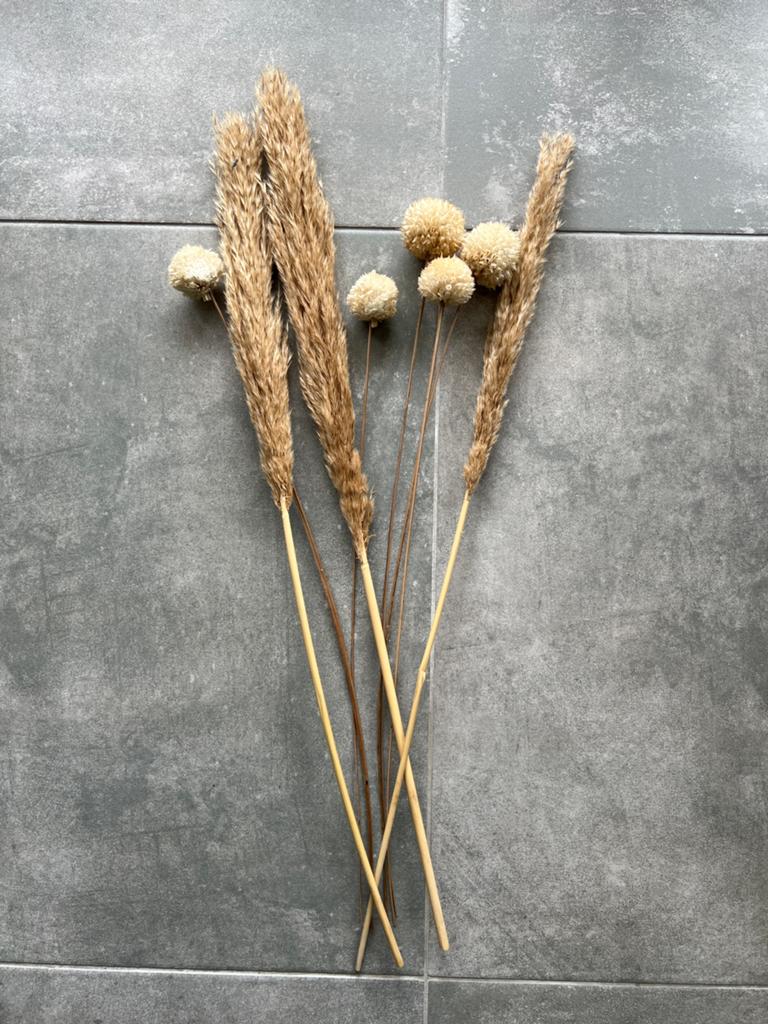 Droogbloemen, Ophalen, Gebruikt