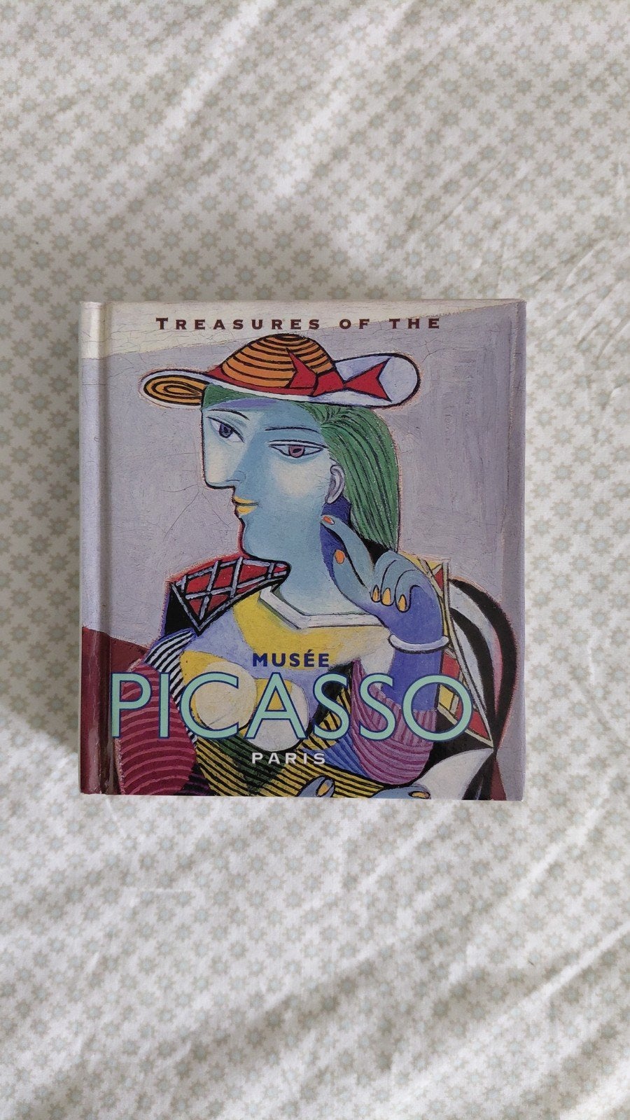 Treasures of the Musée Picasso Paris - Kunstboek, Ophalen of Verzenden, Gelezen