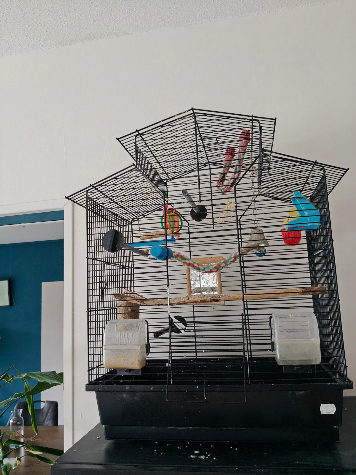 vogelkooi inclusief accessoires, Ophalen of Verzenden, Metaal, Vogelkooi