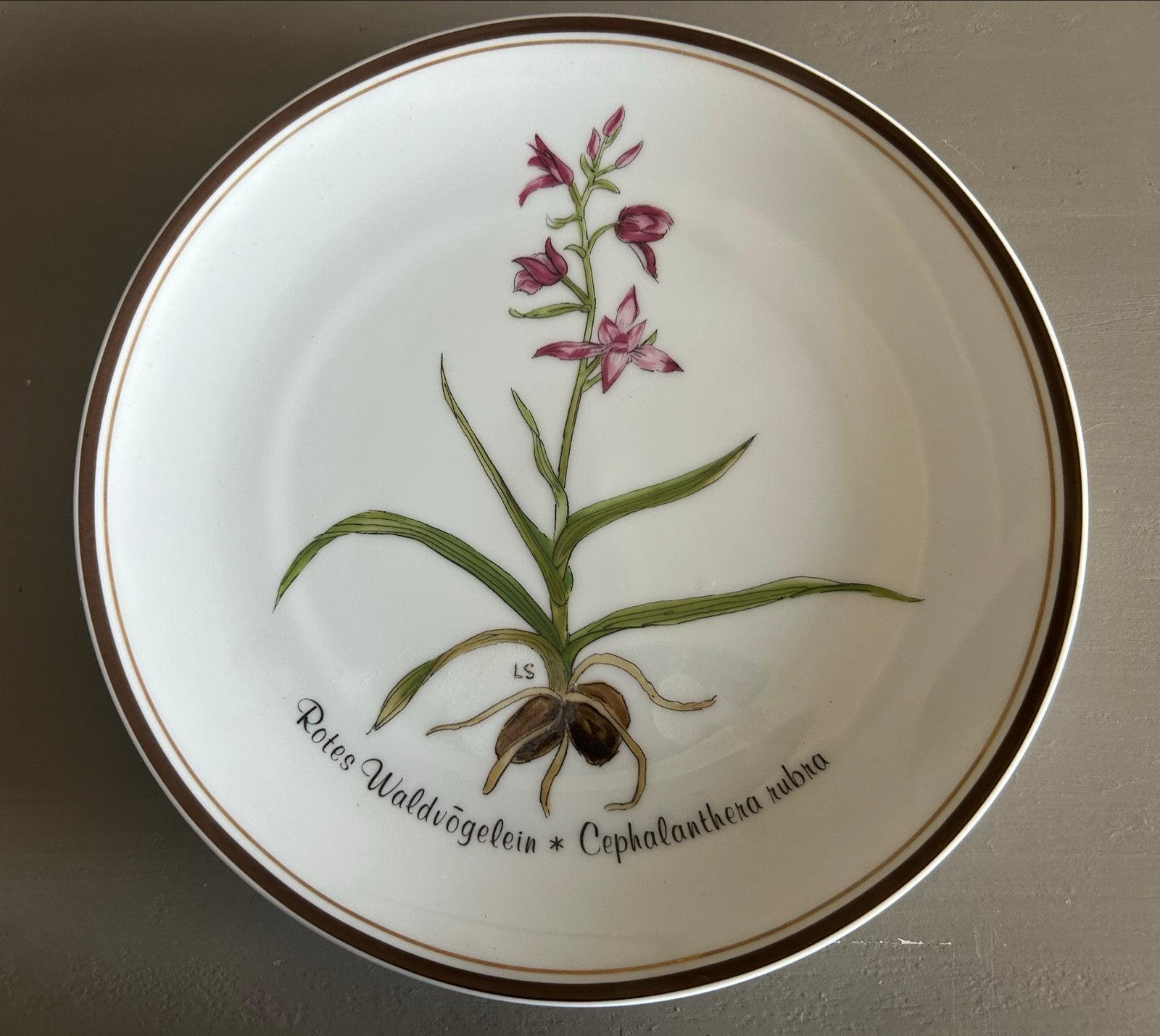 Rosenthal Classic Rose Collection Wandbord - Rode Bosorchis, Ophalen of Verzenden