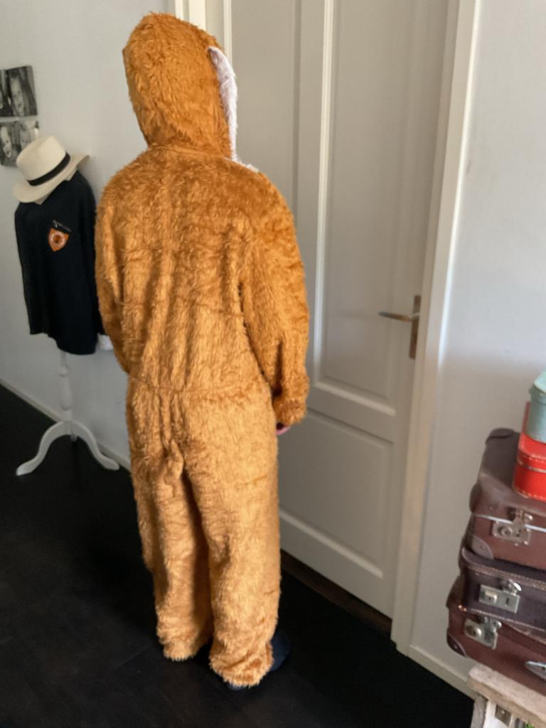 Paashaaspak, Kinderen en Baby's, Carnavalskleding en Verkleedspullen, Ophalen of Verzenden, Gebruikt, 146 t/m 152, Jongen of Meisje
