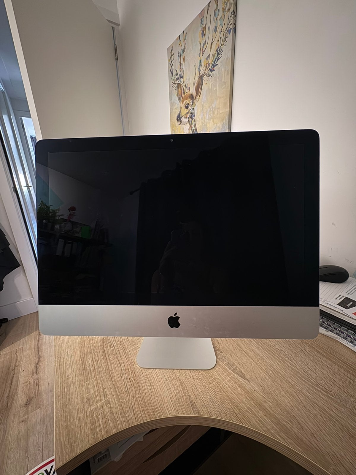 Apple iMac 21,5 inch (2013) – netjes en gebruiksklaar, Ophalen, Gebruikt, 2 tot 3 Ghz, IMac