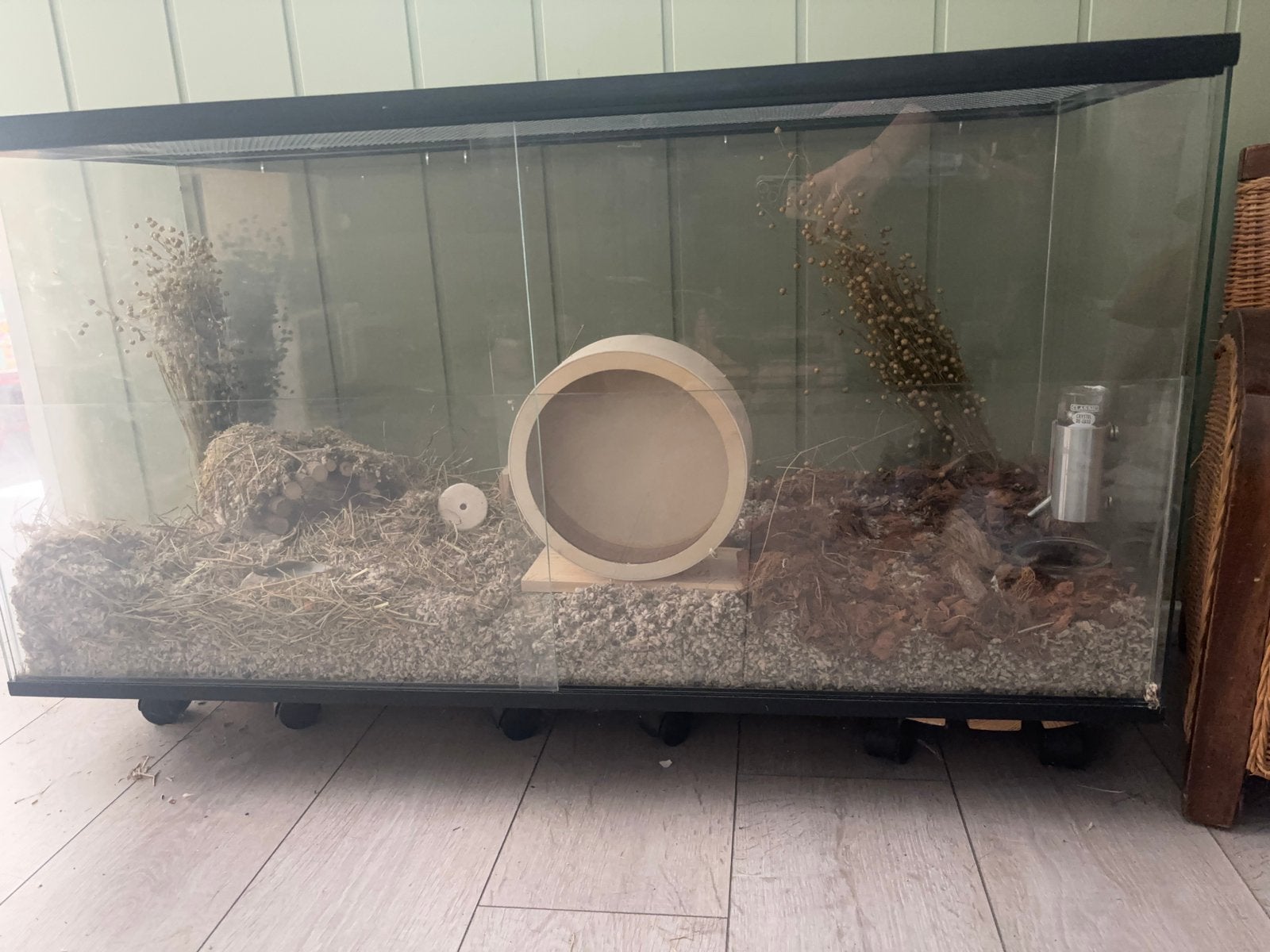 Gerbilshopqueenies gerbil/hamster terrarium, Ophalen, Zo goed als nieuw
