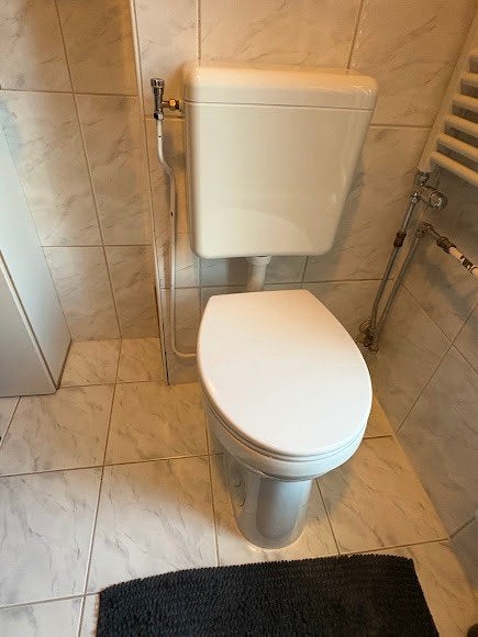 Hoge wc pot, Ophalen, Zo goed als nieuw, Steen, Toilet