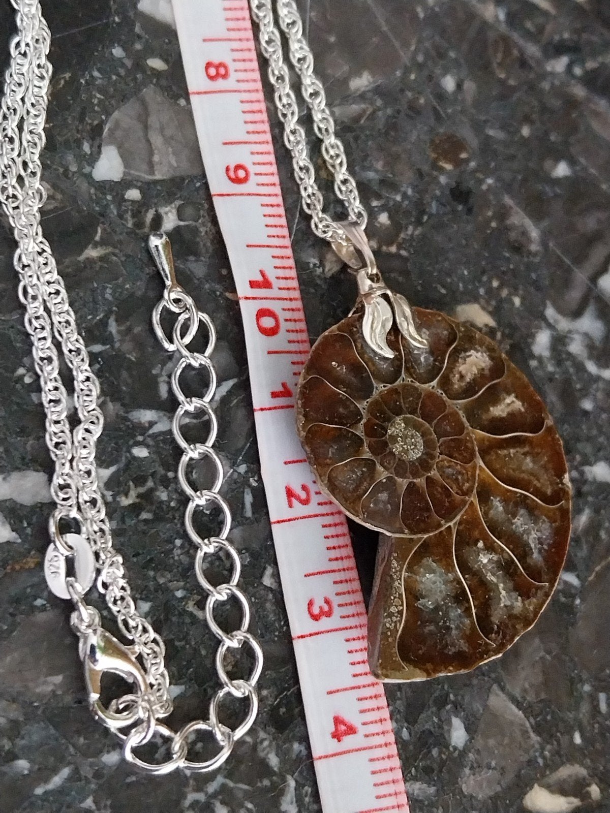 Ammoniet fossiel hanger met verzilverd kettinkje #1269, Sieraden, Tassen en Uiterlijk, Kettingen, Verstelbaar, Bruin, Verzenden