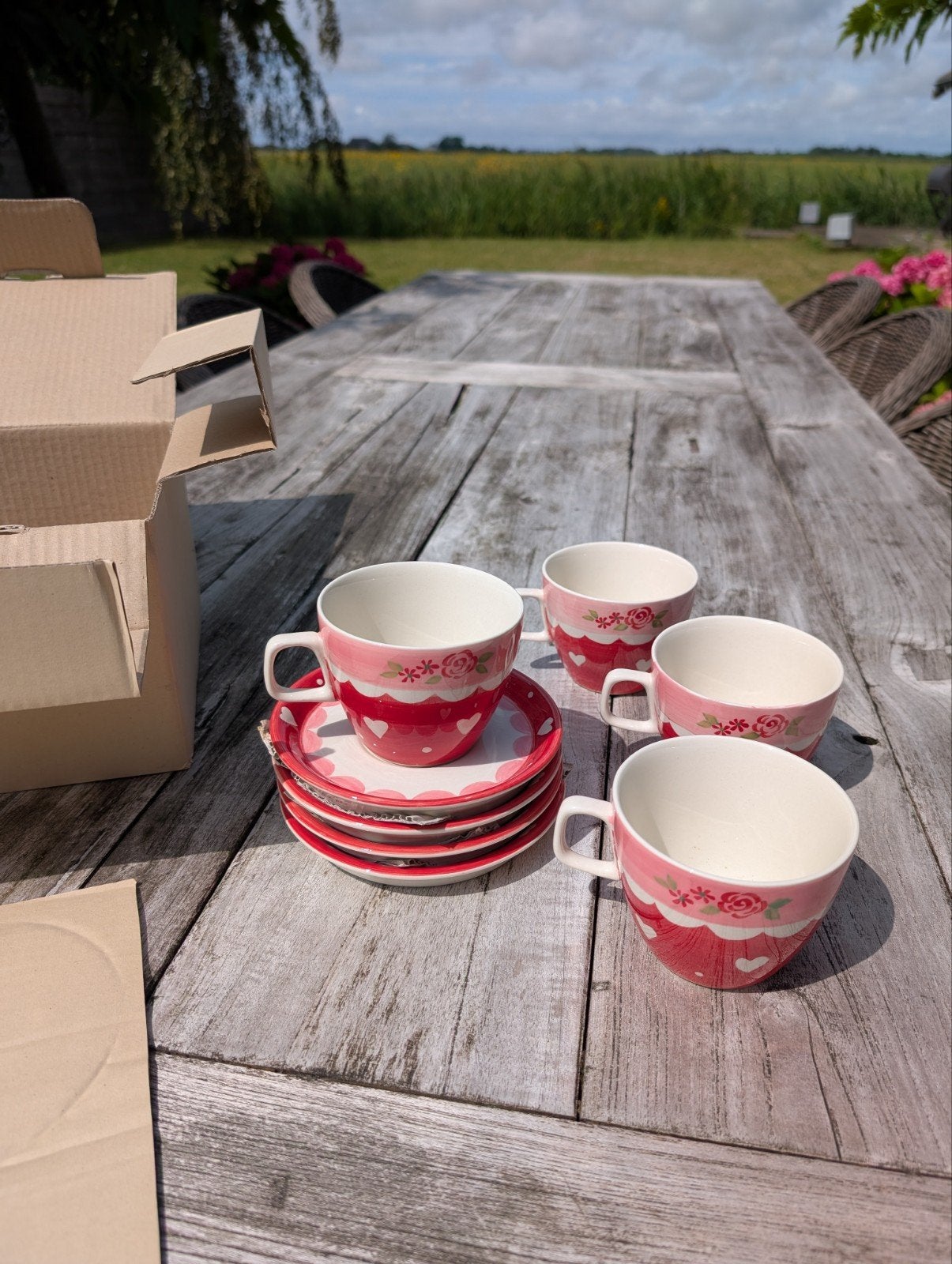 Froukje servies kopjes - Ongebruikt in originele doos, Ophalen, Nieuw, Overige stijlen, Kop(pen) en/of Schotel(s)