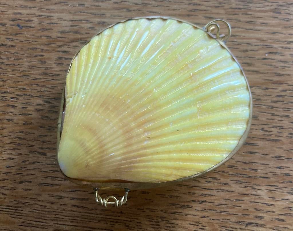 Schelp in vatting, Ophalen of Verzenden