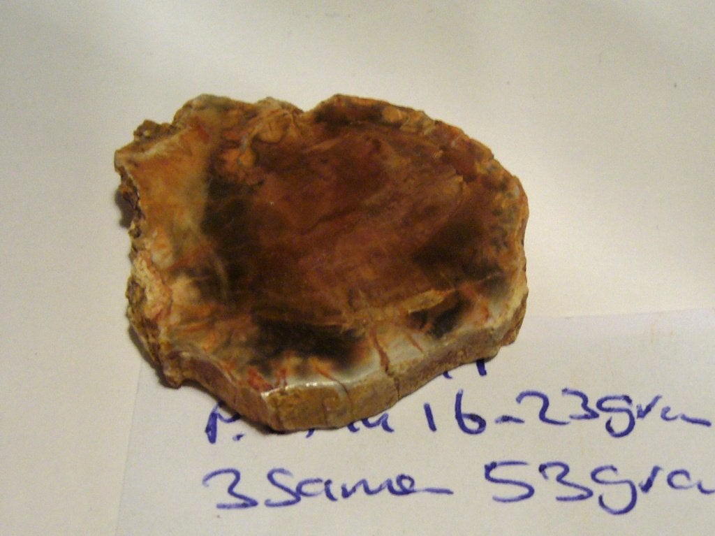 versteend hout schijf petrified wood 16 of 23 gram boomstam, Ophalen of Verzenden
