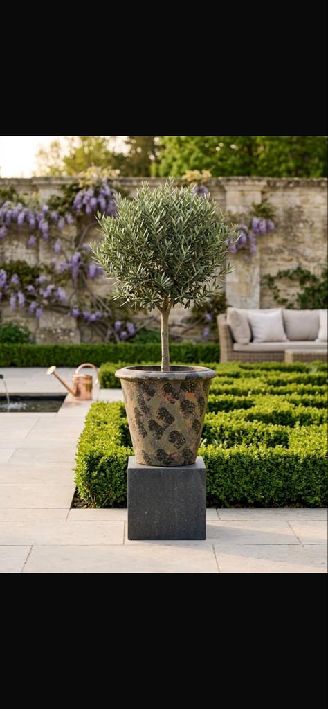 Grote PTMD Bloempot - 50cm Hoog, 50cm Doorsnede, Tuin en Terras, Bloempotten, Gebruikt, 40 cm of meer, Rond, Ophalen of Verzenden