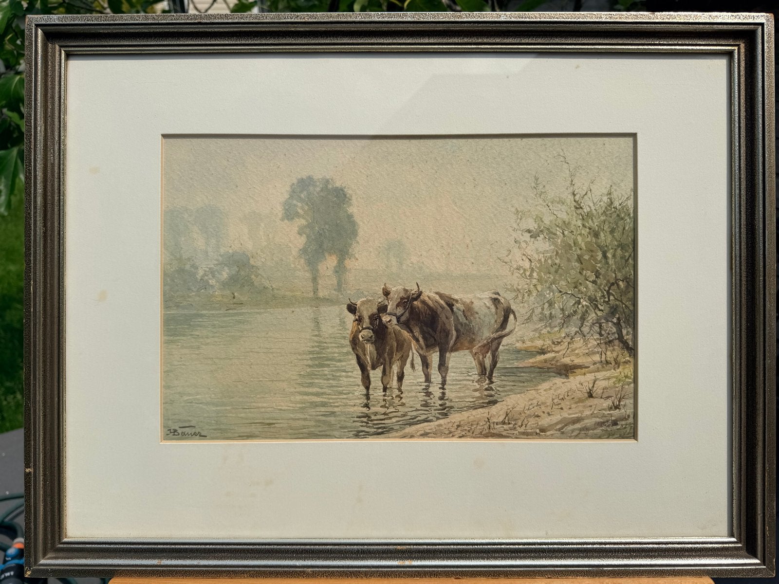 Aquarel van Bauer: Koeien in Rivierbedding, Antiek en Kunst, Ophalen
