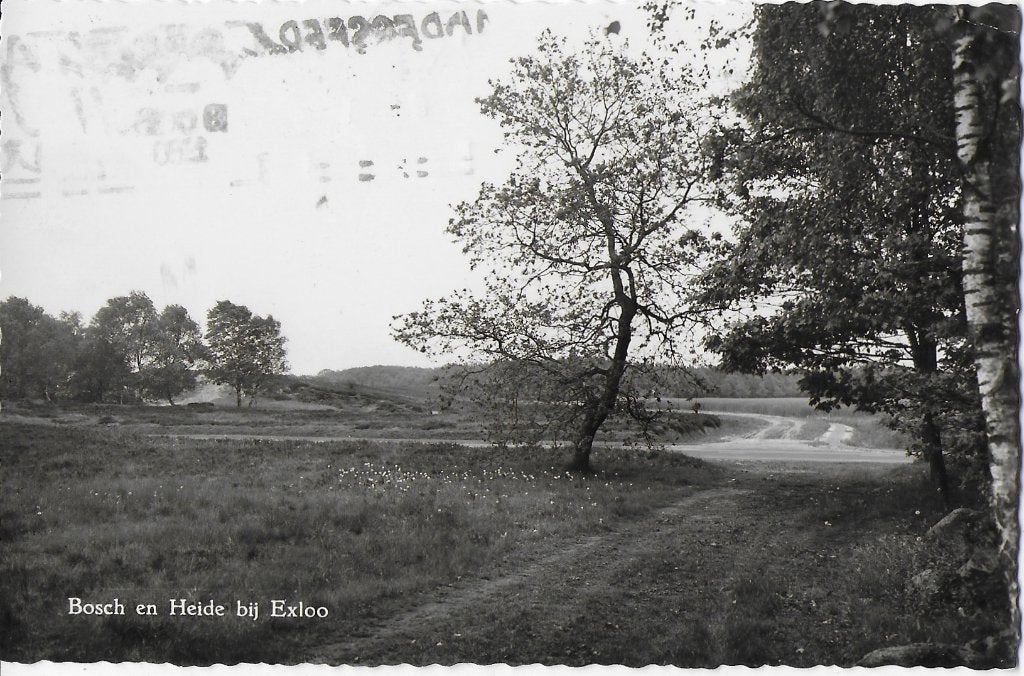 Pa1187 oude gelopen ansichtkaart exloo bosch en heide, Ophalen of Verzenden, 1980 tot heden, Gelopen, Utrecht