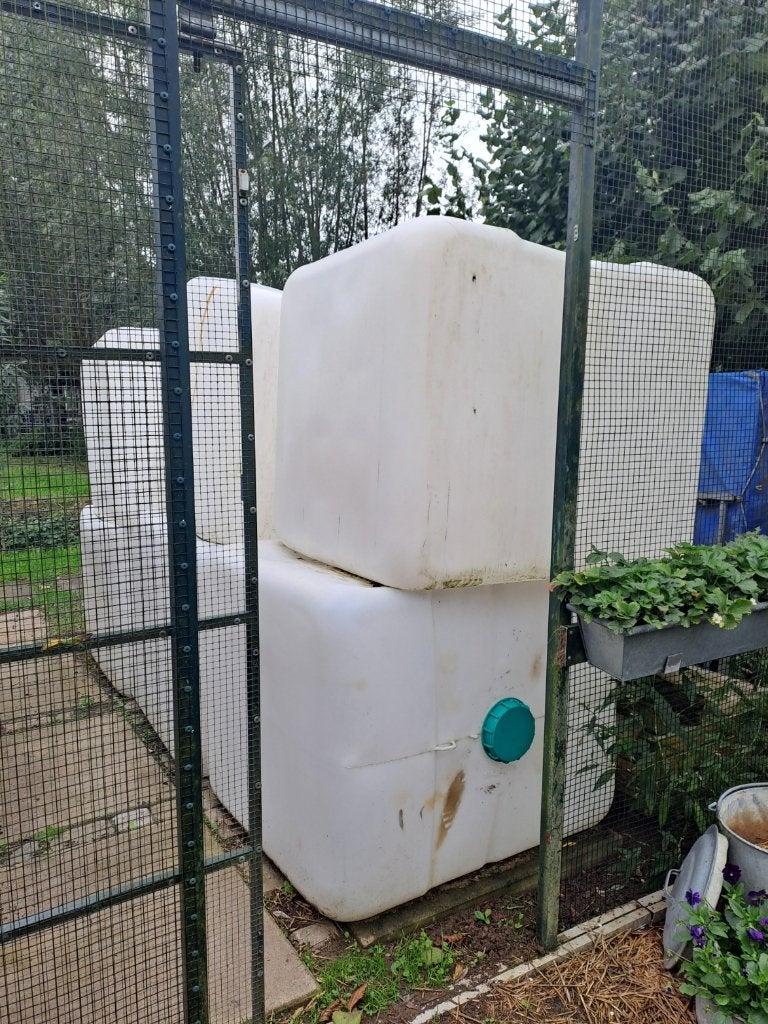 IBC binnenwerken gratis af te halen voor hemelwateropvang., Dieren en Toebehoren, Mannelijk, Kip
