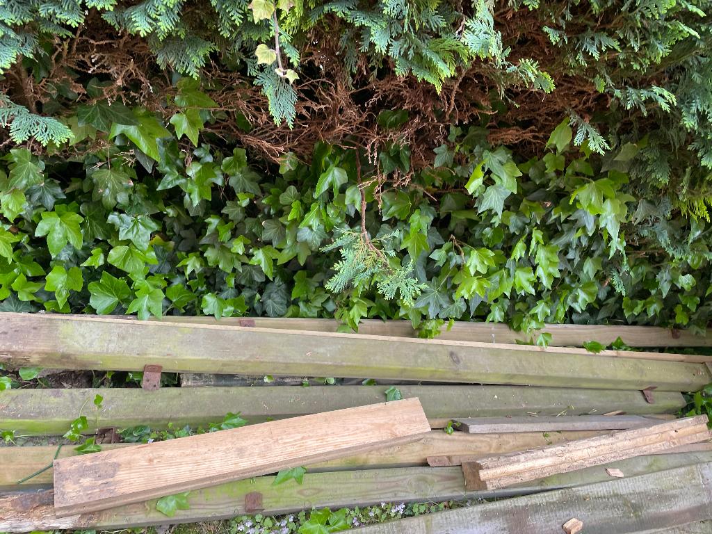 Tuinpalen, Ophalen, Gebruikt, Minder dan 180 cm, Palen