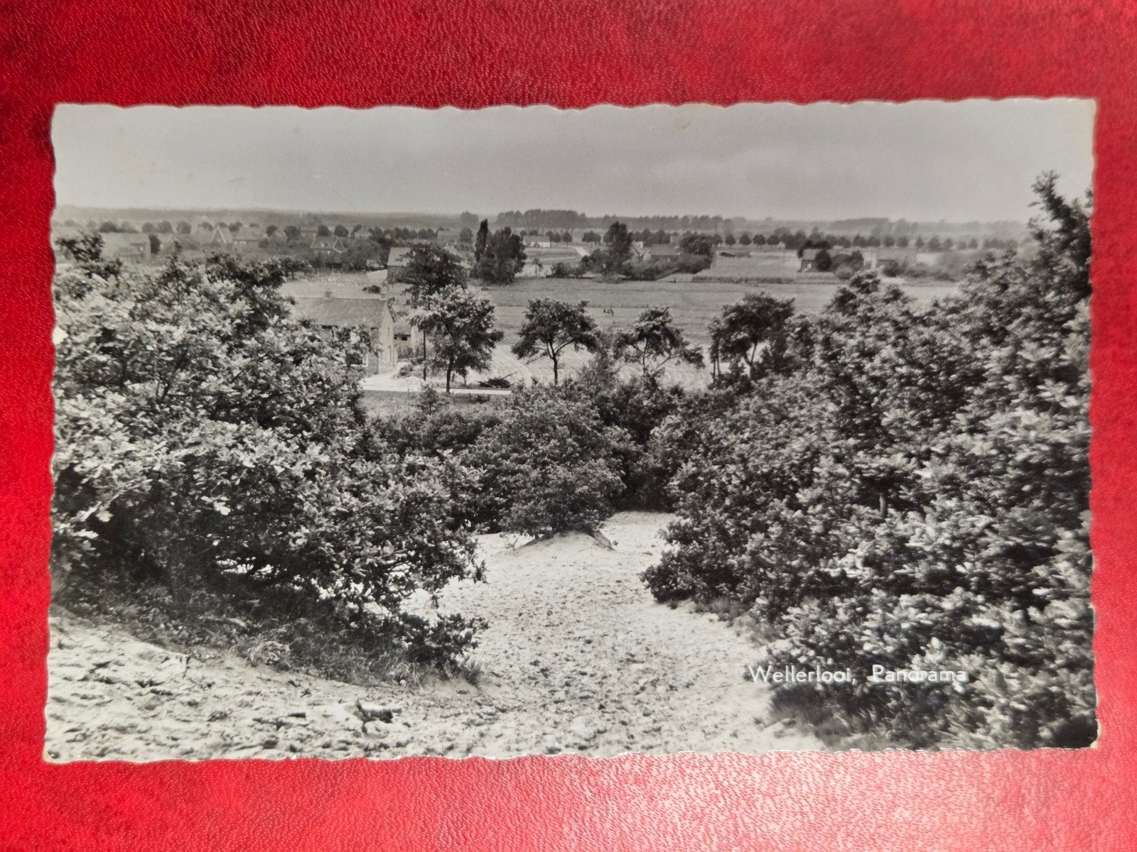 Wellerlooi bij Well Panorama, Ophalen of Verzenden, 1940 tot 1960