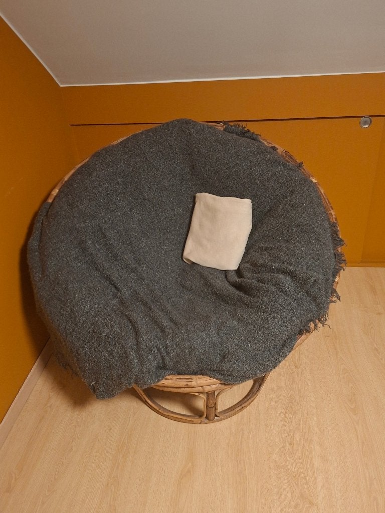Chill/lounge ei (stoel), Ophalen, Zo goed als nieuw, Riet of Rotan