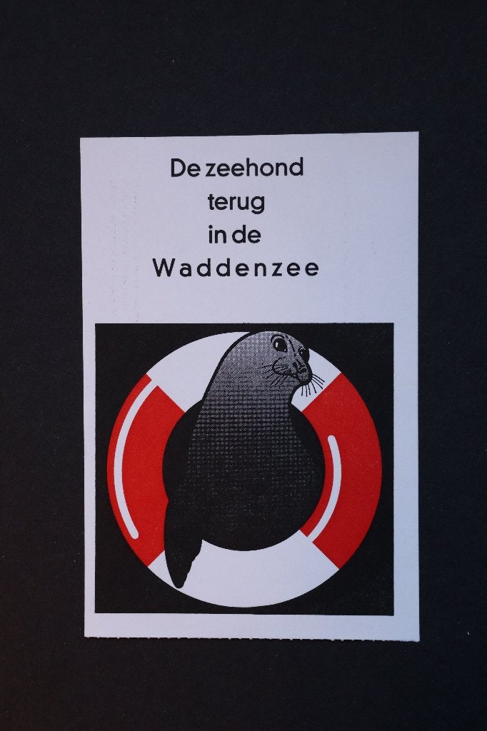 Briefkaart “De Zeehond terug in de Waddenzee”, Ophalen of Verzenden, 1980 tot heden, Ongelopen, Waddeneilanden