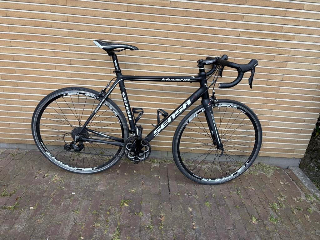 Sensa modena 2019, Aluminium, Zo goed als nieuw, Meer dan 20 versnellingen, 53 tot 57 cm