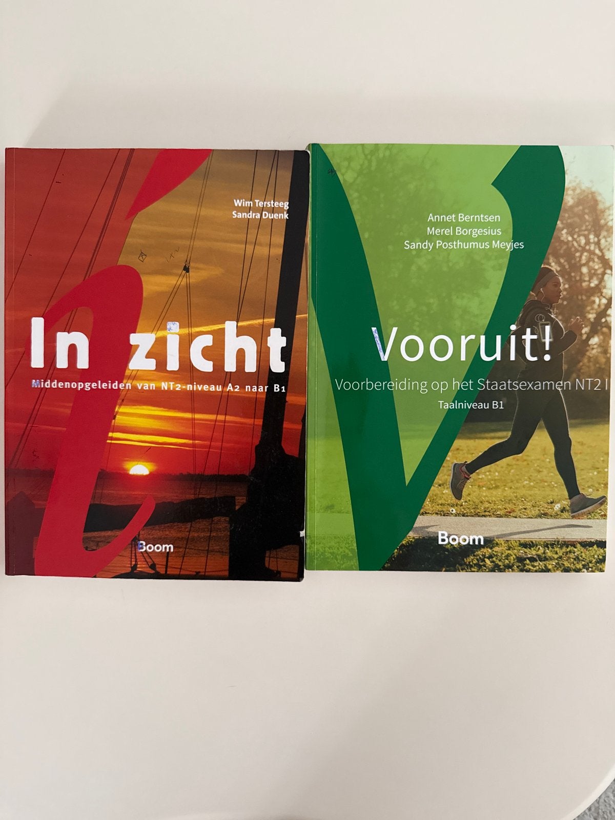 In zicht & Vooruit! NT2-boeken B1 niveau, Ophalen, Alpha, Zo goed als nieuw, Overige niveaus